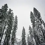 Chalet Le Perray Alpine *
